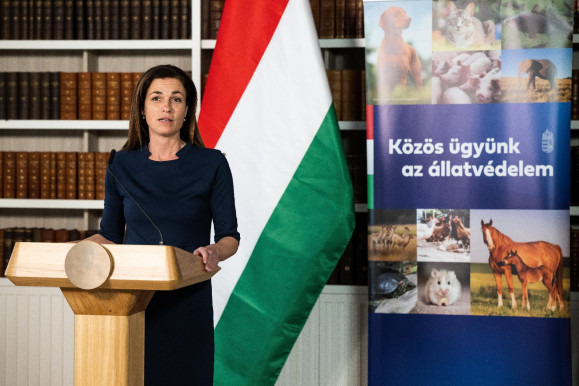 Se Vargával, se az elfoglalt egyetemekkel nem foglalkoznak a fideszesek