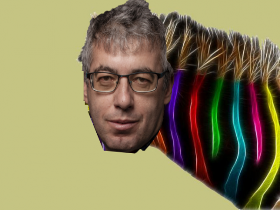 A magyar életmód védelmében - Dési János jegyzete