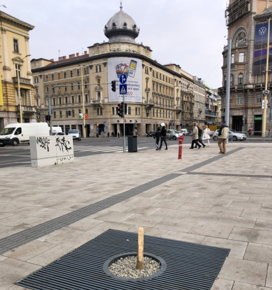 Mégis miért? Valaki kettétört egy facsemetét a felújított Blahán