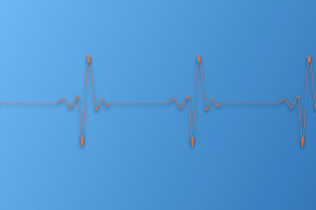 Élj tovább, magyar! - Selmeci János jegyzete