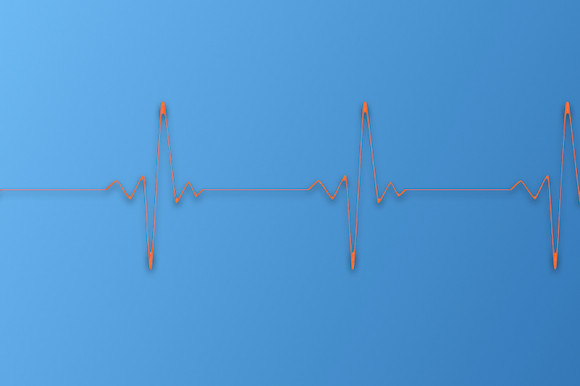 Élj tovább, magyar! - Selmeci János jegyzete