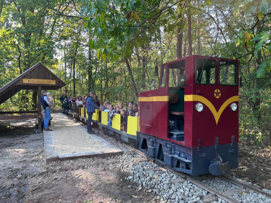 Hiába kértek, nem kaptak állami segítséget: leáll a gödöllői erdei kisvasút