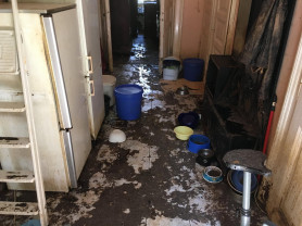 Bíróság elé áll a kőbányai nő, aki 107 beteg macskát tartott a lakásában horrorisztikus körülmények között