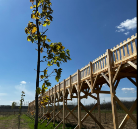 Az Európai Ügyészség is nyomoz a magyar lombkoronasétányok miatt