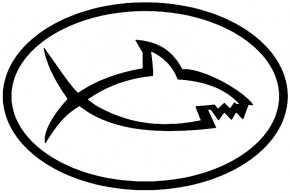 Vásárhelyi Mária: A cápalátogatástól a pápanyalogatásig 