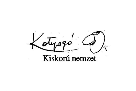 Kvári Sinkó Zoltán: Kiskorú nemzet