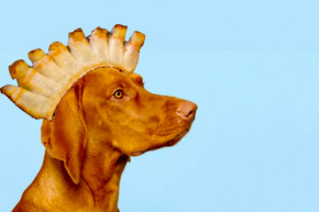 Fleck Zoltán: Autokratikus szalonnából nem lesz jogállami kutya