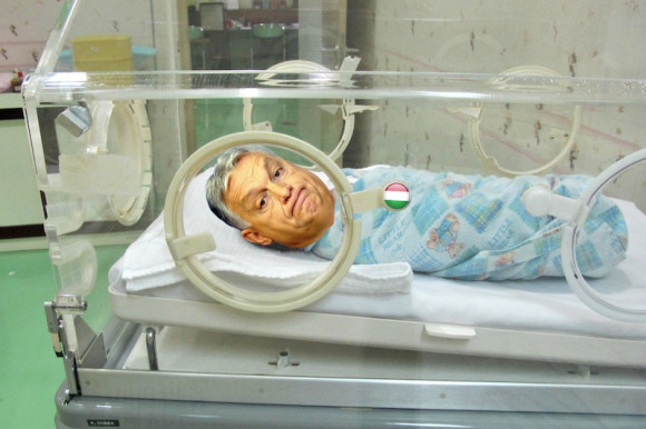 A Nagy Magyar Inkubátor - Hardy Mihály jegyzete