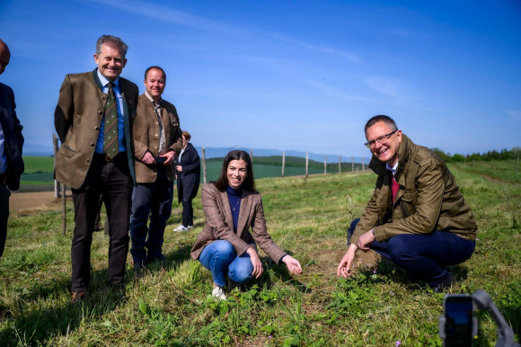Eddig egymilliárd forintnyi büntetéssel fenyítette a boltokat az állam az árstoprazziákon