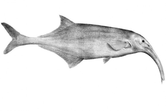 Kardos András: Levél Bolgár Györgynek 1. – 