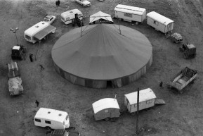 Anno Budapest: A cirkuszban