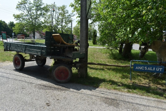 Villanyoszlopnak ütközött egy részeg férfi a lovaskocsijával, elvitték a mentők