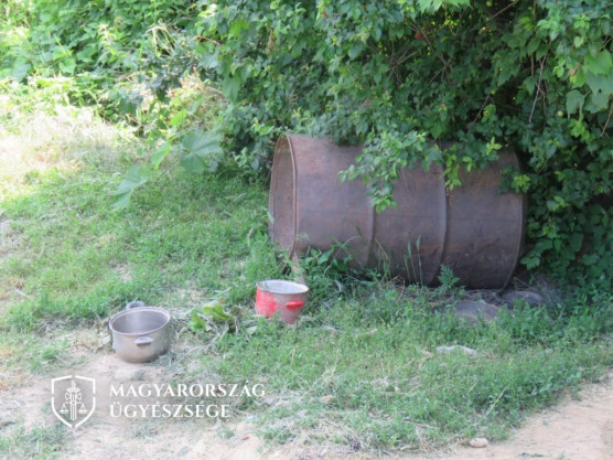 Borzalmas körülmények között gyötört egy csomó kutyát egy kaposvári pár