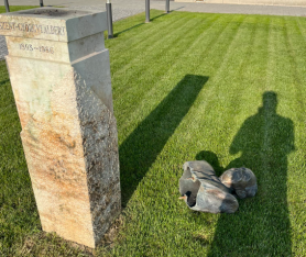Valaki ledöntötte Szent-Györgyi Albert mellszobrát Enyingen