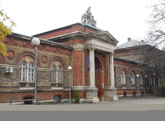 Két napig kézben vitték le a betegeket az emeletről a Szent István Kórház sebészetén