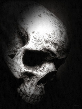 Emberi koponyára vágyott a budapesti virágárus, egy halottátvevő meg is szerezte neki