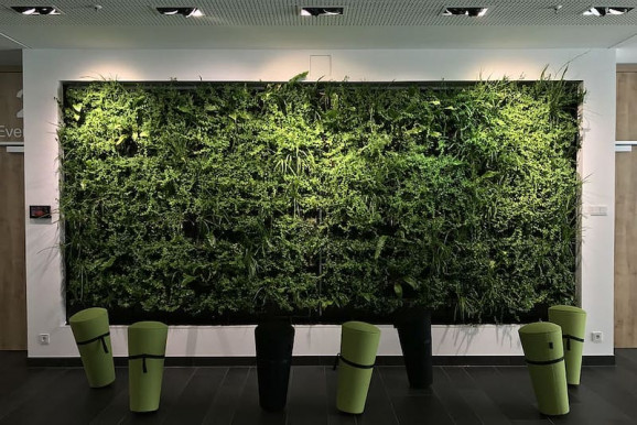 Pályázni jó ügyekben