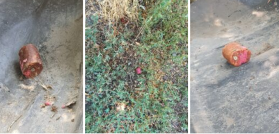 Mérgezett ételbe rejtett csavarokat szórt szét valaki a józsefvárosi kutyafuttatókban