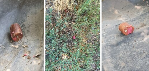 Mérgezett ételbe rejtett csavarokat szórt szét valaki a józsefvárosi kutyafuttatókban