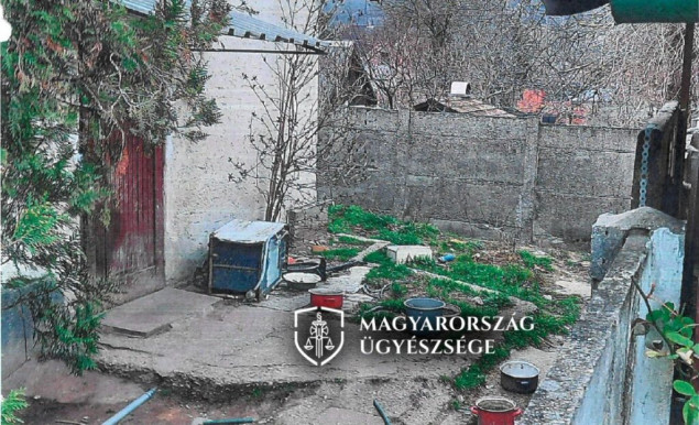 Pokoli szenvedésnek tette ki a kutyáját a tokodi állatkínzó