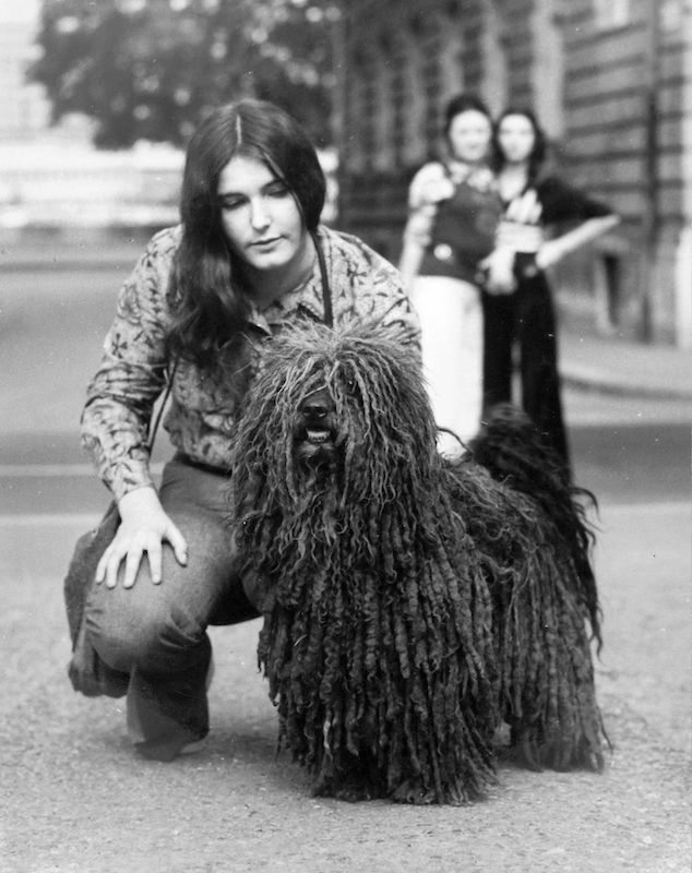 Saly Noémi kutyájával 1974-ben. Fogas utca a Döbrentei utca felől nézve, háttérben a Várkert (Groza Péter) rakpart, a túlparton a Hotel Duna Intercontinental.