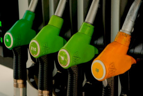 Protekció – Józsa Márta jegyzete