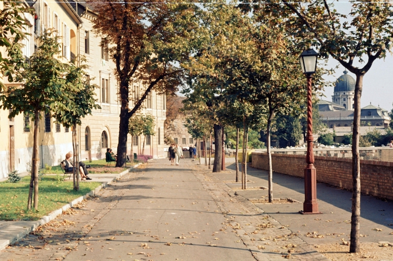 Tóth Árpád sétány a Palota út felé nézve, jobbra a háttérben a Budavári Palota (korábban Királyi Palota) kupolája. 1969.