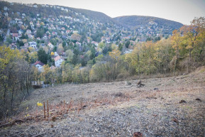 Évszázados problémákat okozhat az erdőpusztítást könnyítő új törvény