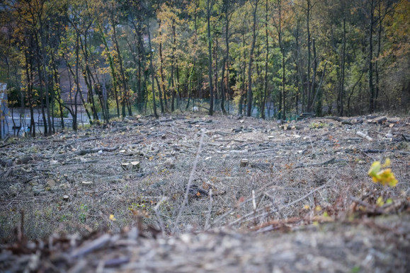 Őrsi: Nem tudjuk mindig észrevenni a fakivágásokat, de a lakók jelzik