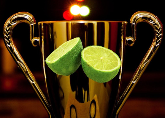 Citromdíj - Józsa Márta jegyzete