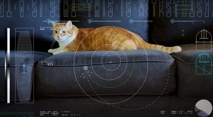 Megjárta a világűrt egy macskás videó