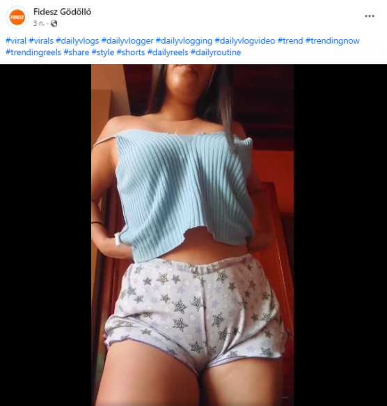 Ledér hölgyekkel tömte ki valaki a gödöllői Fidesz Facebook-oldalát