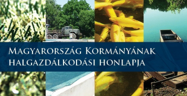  Sagyibo Viktor mégsem épít lazacfarmot Zalaegerszegen