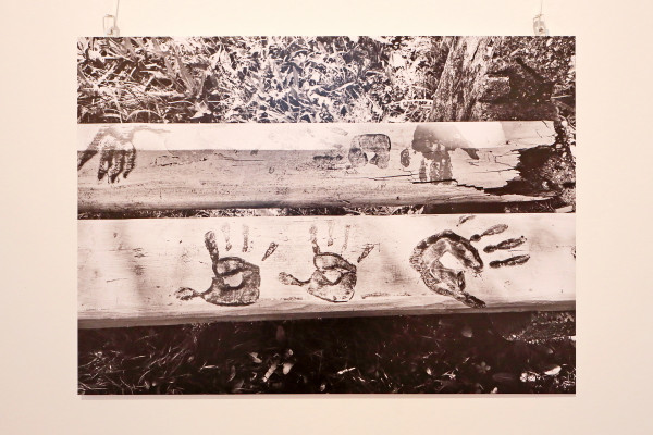 Album15 - Tölgyesi Katalin képei a Héber és Izraeli Kulturális Központban