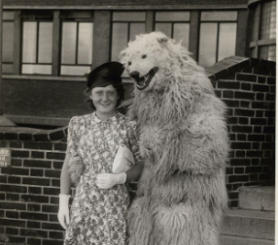 Valami hatalmas állattól rettegnek az emberek Verőcén