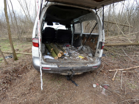 12 millió forintnyi fát lopott össze a börtön elől bujkáló Gyula