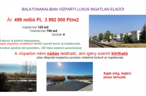 Igény szerint kiirtható nádassal hirdetnek egy balatoni luxusingatlant 