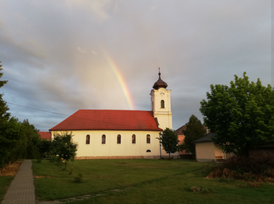Alig hogy kiszabadult, a bicskei református gyülekezet presbiterévé választották K.Endrét