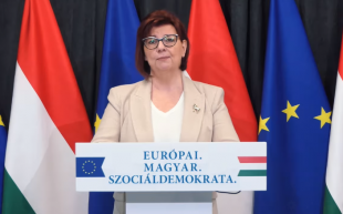 Gy. Németh: Nem vagyunk ijedősek, nem hagyjuk annyiban a gyermekvédelmi ügyeket