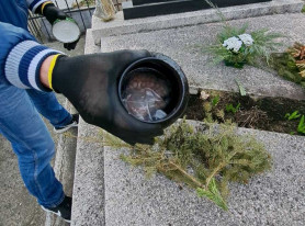 Az apja sírjában tárolta a drogot a bélaptátfalvai díler