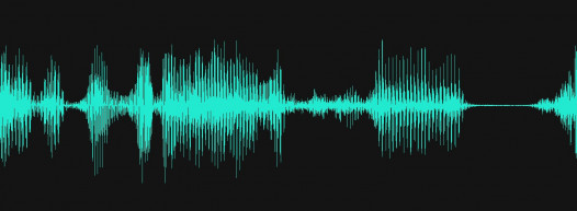 Bod Tamás: A törvény nem számít a gyulai polgármesternek, mindig mindent jelenteni kell