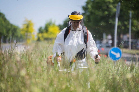 Karácsony: Szentkirályi Alexandra méhlegelőt kaszált le