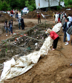 Felvésik a szégyenfára, hogy Magyarország 