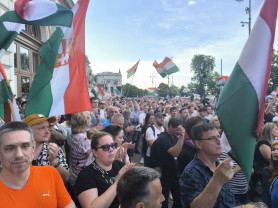 Kutyapárt az EP-vitán: tartsunk konzultációt arról, hogy Ön mit szeretne enni, házi kovászolt kenyeret vagy laposelemet?