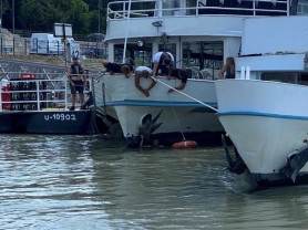 Nem akart kijönni, búvár cibálta ki a férfit a Dunából