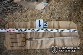 Vasvillával rontott a rendőrre a trágár tolnai tolvaj