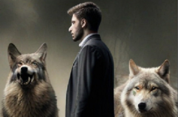 Letartóztatva  – Selmeci János jegyzete