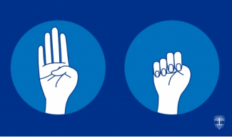 Egy esetről tudunk, amikor kézjellel segítséget kérő nőnek segített a magyar rendőrség, erről