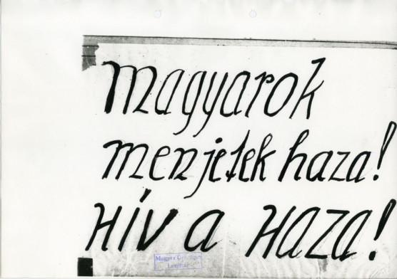 Megszállás – Józsa Márta jegyzete