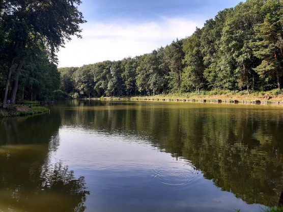 Tiltakoznak a helyiek a természetvédelmi területre tervezett Kaposvár-Szigetvár gyorsforgalmi út ellen